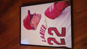 2 signed and professionally framed Goldeyes pictures