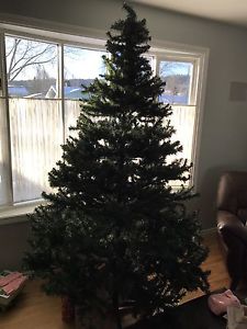 Free. Pre light Noma Christmas tree