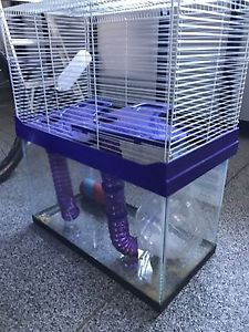 Hamster/gerbil/Small rodent cage
