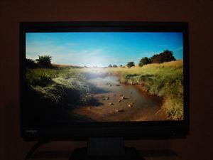 Omnitech 22" Widescreen LCD Monitor