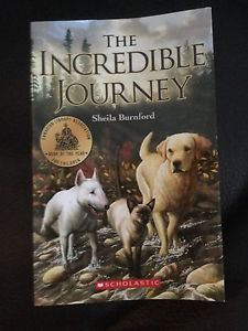 The Incredible Journey book