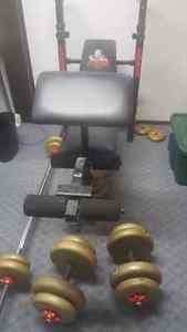 Weber weight bench and weights