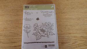 stampin'up stamps