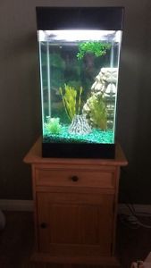 15 Gallon Aquarium and Stand