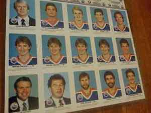 2 uncut sheets  RED ROOSTER EDMONTON OILERS,$20