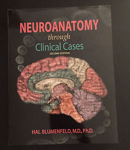 Neuroanatomy through clinical cases