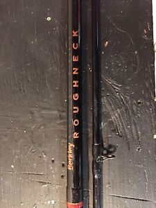 Berkley Roughneck Fishing Rod