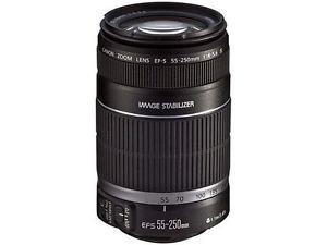 Canon EF-S mm f/4-5.6 IS STM Telephoto Zoom Lens