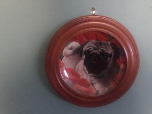Collector Pug plates for sale