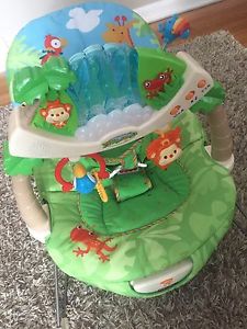 Fisher-Price Bouncer
