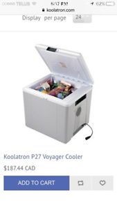 Hot/cold cooler for your automobile
