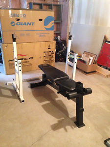 Incline/Decline Bench with preacher curl and Leg curl