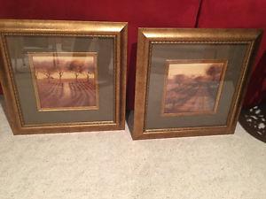 Two Matching Framed Pictures