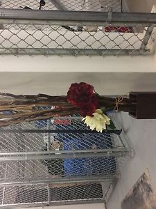 Vase with sticks