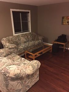 Couch & Love Seat & Coffee Tables