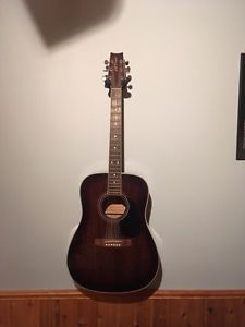 Jp player acoustic guitar and hard shell case.