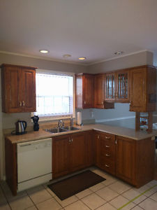 Oak Kitchen Cabinets & Appliances