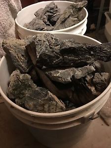 Seiryu stone