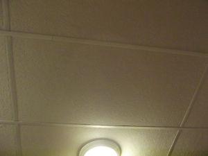 White Ceiling Tiles for drop ceiling