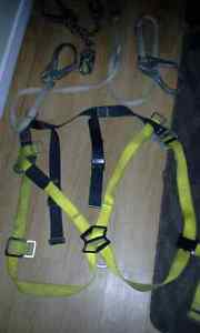 Great Cond. Harness and Laniers (cheap)