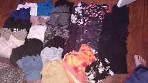 Ladies clothing (the lot for $60)