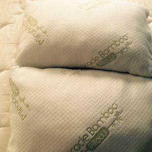 Miracle bamboo pillows