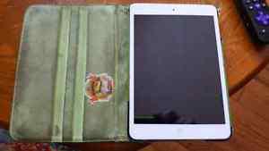 iPad Mini and case for sale