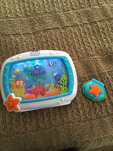 Baby Einstein Aquarium