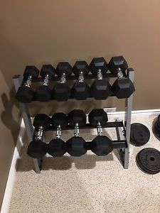 Dumbbells 10lb-30lb with stand