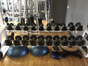 Dumbbells with the rack