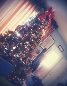 7.5 ft tall Rotating christmas tree with lights!!