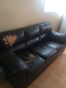 Couch and Arm Chair