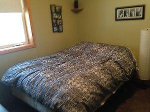 Queen bed, box spring and mattress