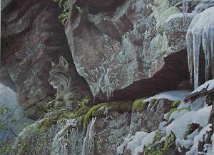 Robert Bateman - At the Cliff Bobcat