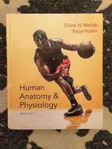 U of M Anatomy& Physiology Textbook