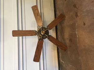 Ceiling fan