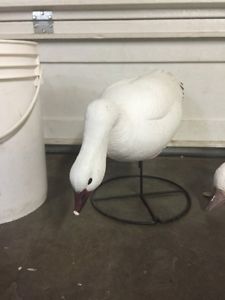 Snow goose decoys for sale - SOLD PPU