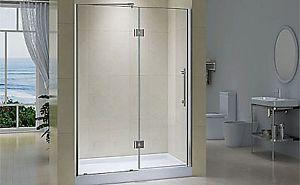 Teago Shower Door
