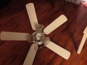 White ceiling fan, great condition!!!