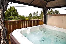 Hot tub and canopy for sale