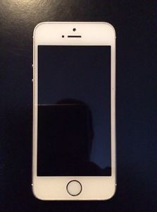 Iphone 5s 32GB Mint condition with Grey Otter Box - $250