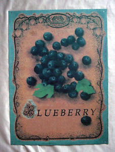 Large Tin Blueberry Sign by The Cottage Garden Fence
