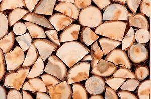 Seasoned Hardwood - Stay warm this winter!!