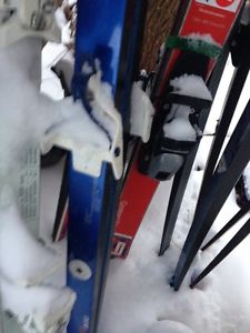 Various Cross Country Skis