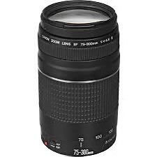 Wanted: Canon lens