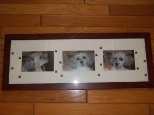 dog paws mat frame