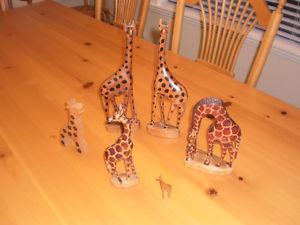 giraffe collection