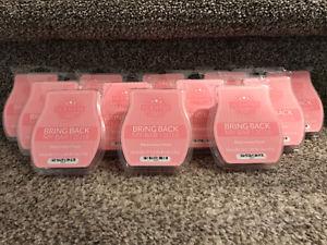 12 Scentsy Watermelon Patch Bars for Sale