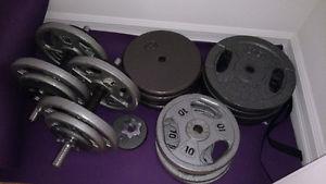 300+ Pounds of Steel Weights with 2 Dumbbells