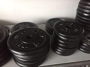 8x 5lb and 6 x 10lb metal weightd